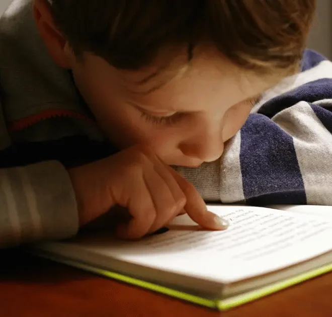 O que são livros paradidáticos e por que eles são tão importantes